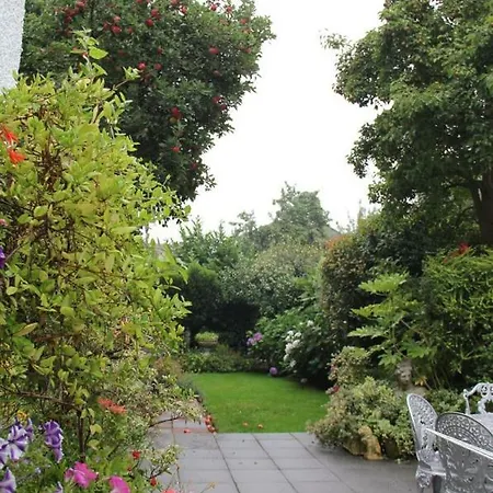 Beautiful Stay, Close To Centre, University, Business Park, Rds Dublin